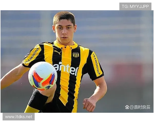 巴尔韦德发展潜力深度解析 未来上限究竟能到多高